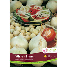 Onions - Snowball - White