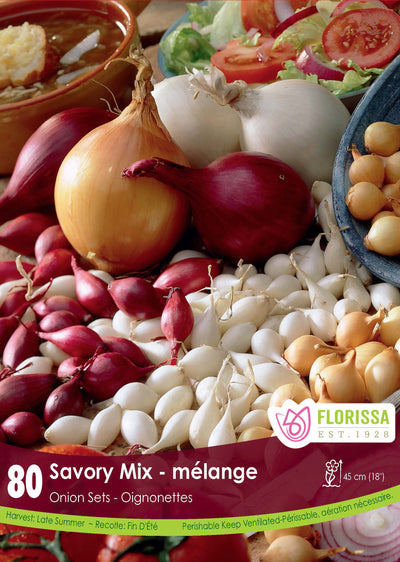 Onions - Set Mixed (Red, White, Yellow)