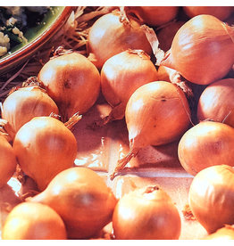 Onions - Laval - Shallot French Gourmet