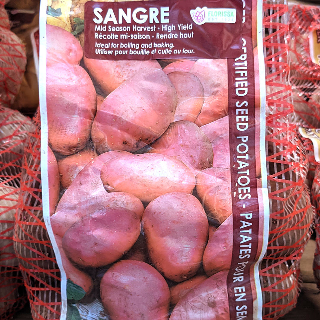 Seed Potato - Red Skinned Sangre 2kg