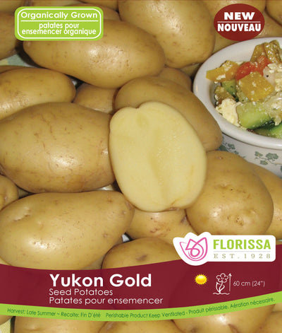 Seed Potato - Yukon Gold - Organic - 500g