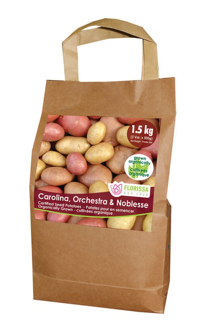 Seed Potato - C5 Organic Combo Sack 1.5kg