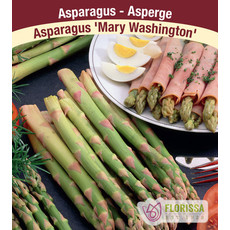 Asparagus - Mary Washington