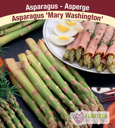 Asparagus - Mary Washington