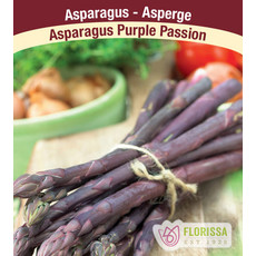 Asparagus - Purple Passion