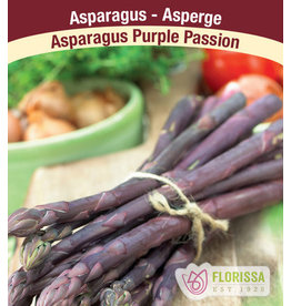 Asparagus - Purple Passion
