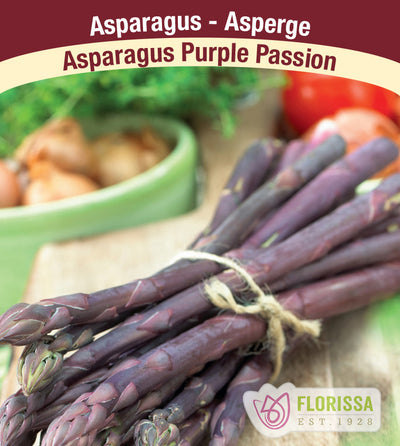Asparagus - Purple Passion