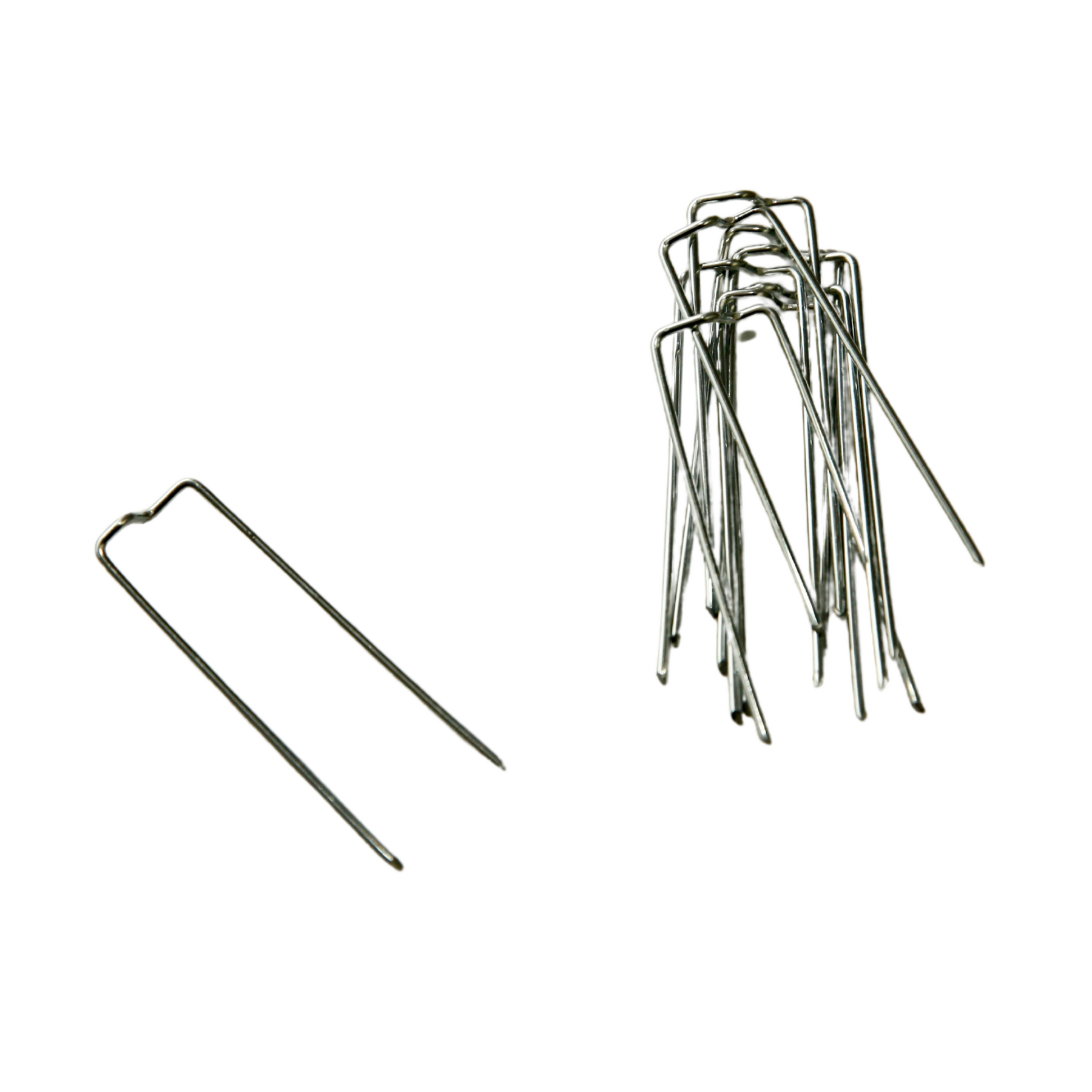 Plant Pins- 10 pack