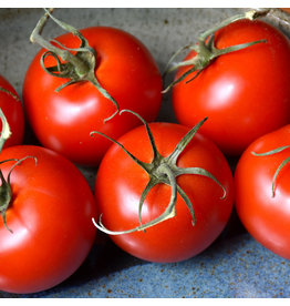 Home Grown Tomato Patio - 1 Gallon