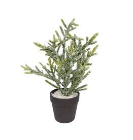 X-Mas Tree in Pot  Green Frosted - H30Xd15Cm