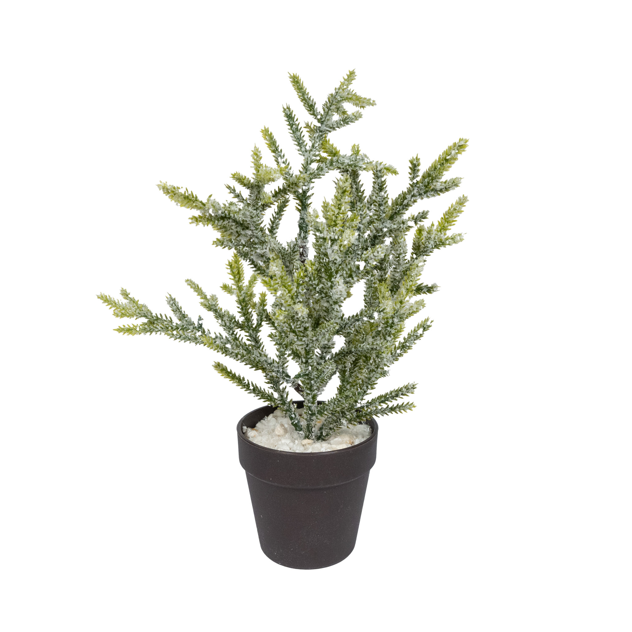 X-Mas Tree in Pot  Green Frosted - H30Xd15Cm