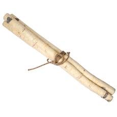 Raz Birch Stick Bundle - 26"