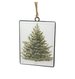 Fir Tree Disc Ornament - 5.5"