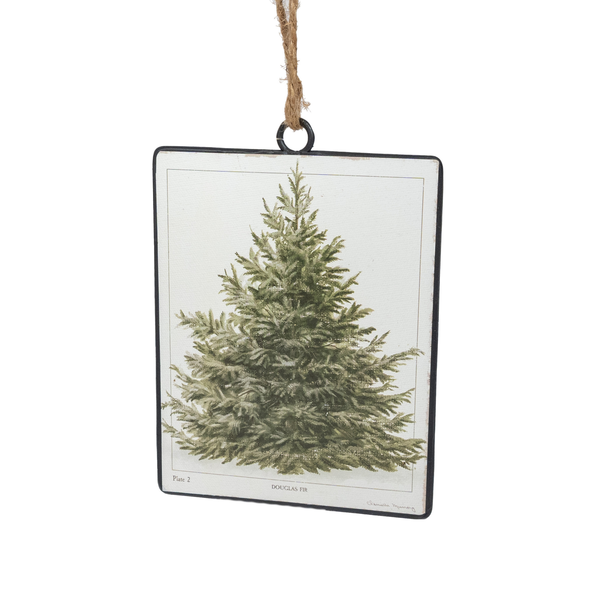 Fir Tree Disc Ornament - 5.5"