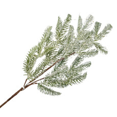 Spray Pine L. Green Frosted 20 LED Battery Operated - 70cm