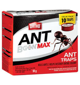 Ortho Ortho Ant B Gon Max Ant Traps (10-Pack) 10 x 5g