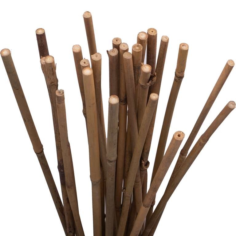 Holland Greenhouse Bamboo Stakes 4' - 25pc Bag