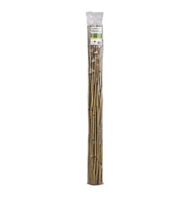 Holland Greenhouse Bamboo Stakes 2' - 25pc Bag