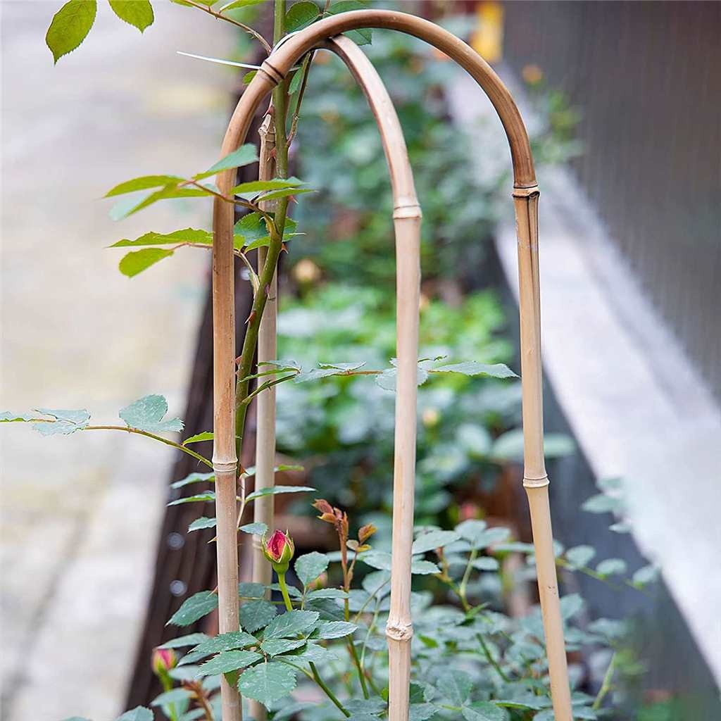 Holland Greenhouse Holland Greenhouse - Bamboo U-Hoops 3' - 3/pk