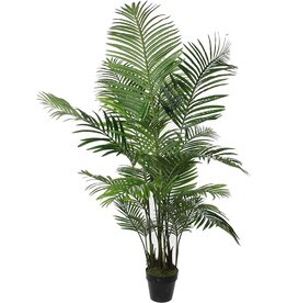 Mica Areca Palm in Pot Green - h100xd70cm