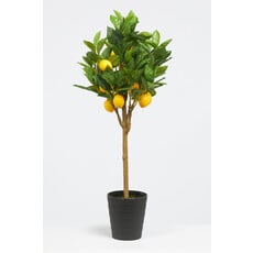 Dijk Artificial - Lemon Tree 70cm