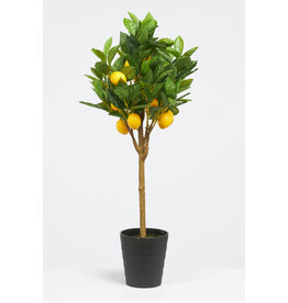 Dijk Artificial - Lemon Tree 70cm