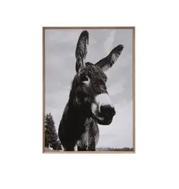 Framed Canvas Donkey - 37-1/4"x27-1/4"