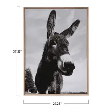 Framed Canvas Donkey - 37-1/4"x27-1/4"