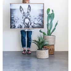 Framed Canvas Donkey - 27-1/4"x37-1/4"