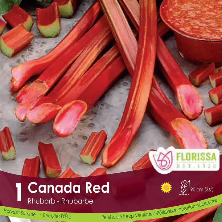 Rhubarb - Canada Red