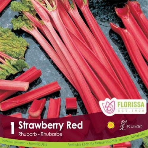 Rhubarb - Strawberry Red