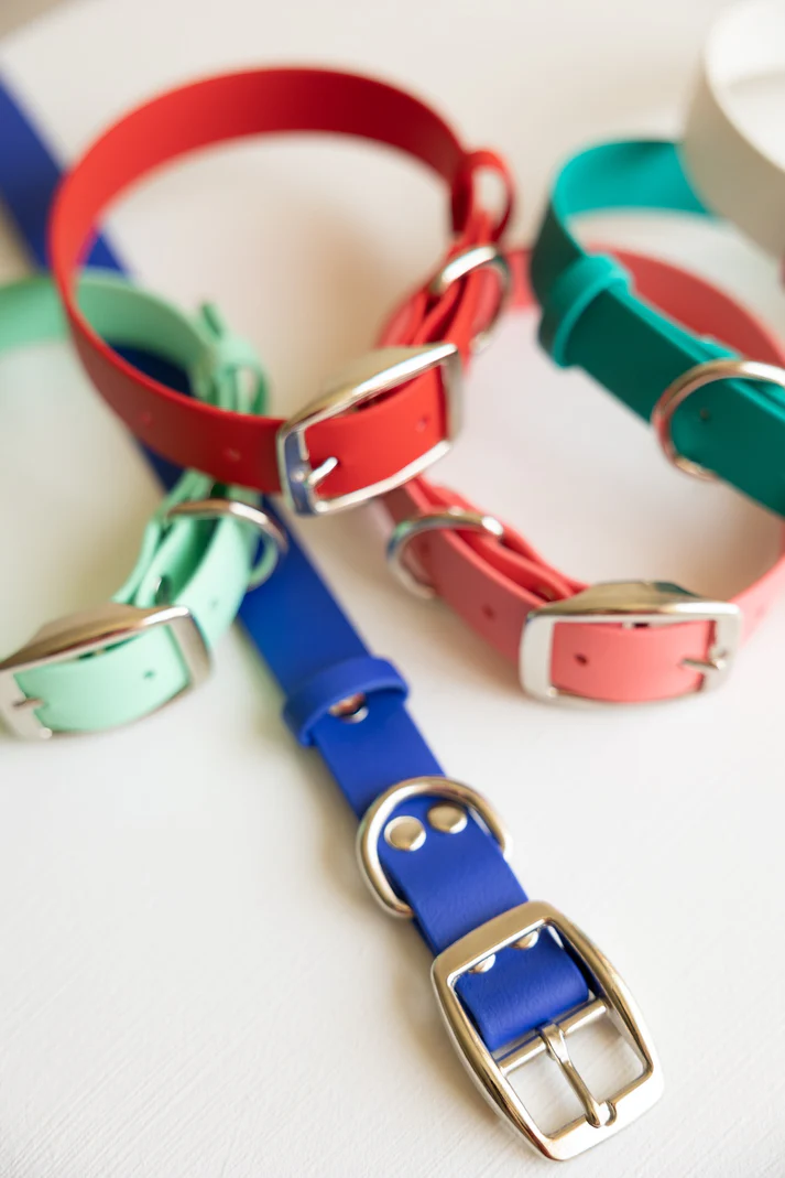 jema + jaxx handmade Biothane 1" Classic Buckle Collar