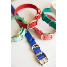 jema + jaxx handmade Biothane 5/8" Classic Buckle Collar