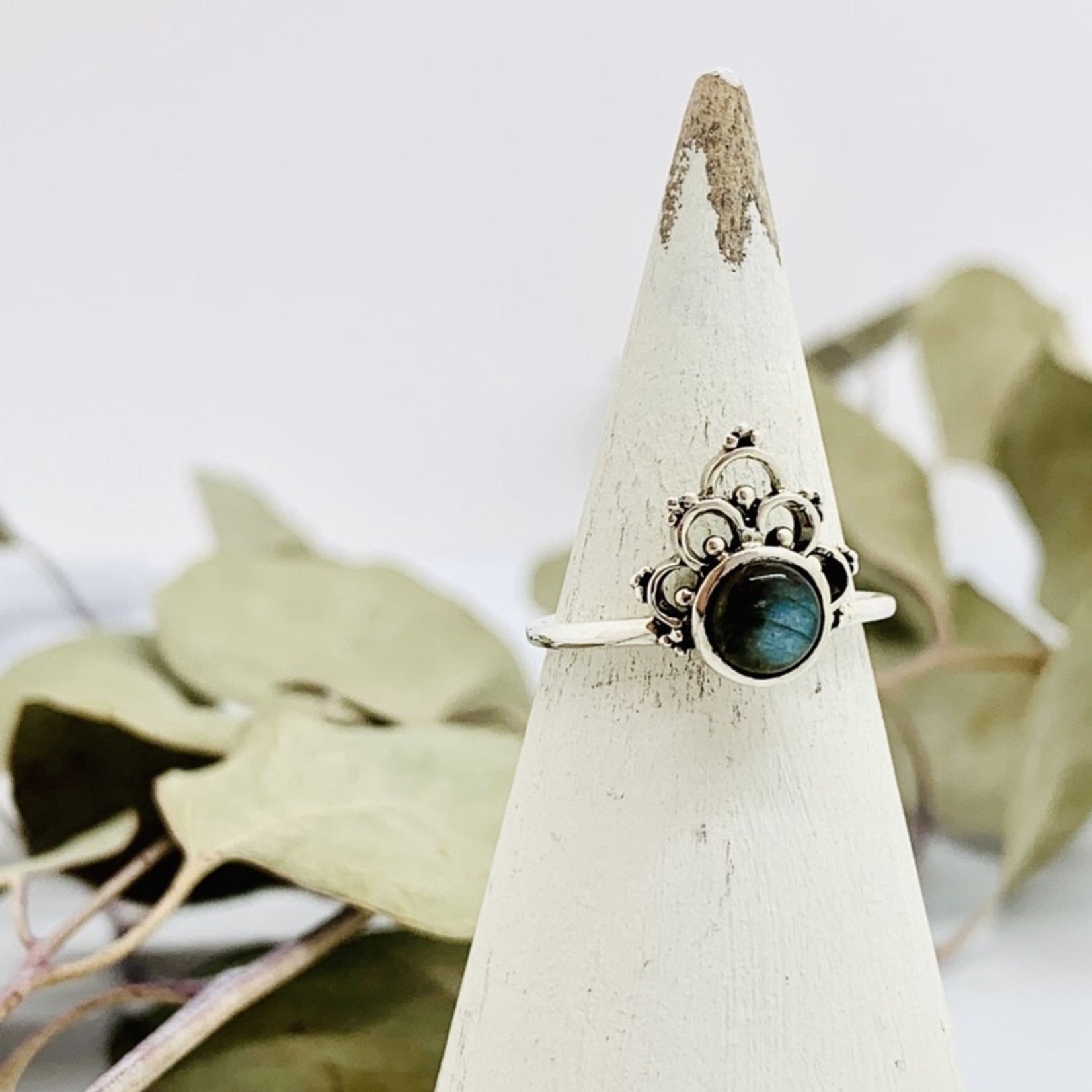 Silver Crowned Labradorite Ring