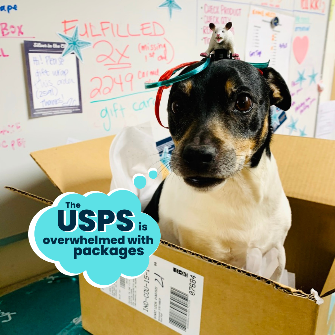 Daily Delivery Starts December 16!