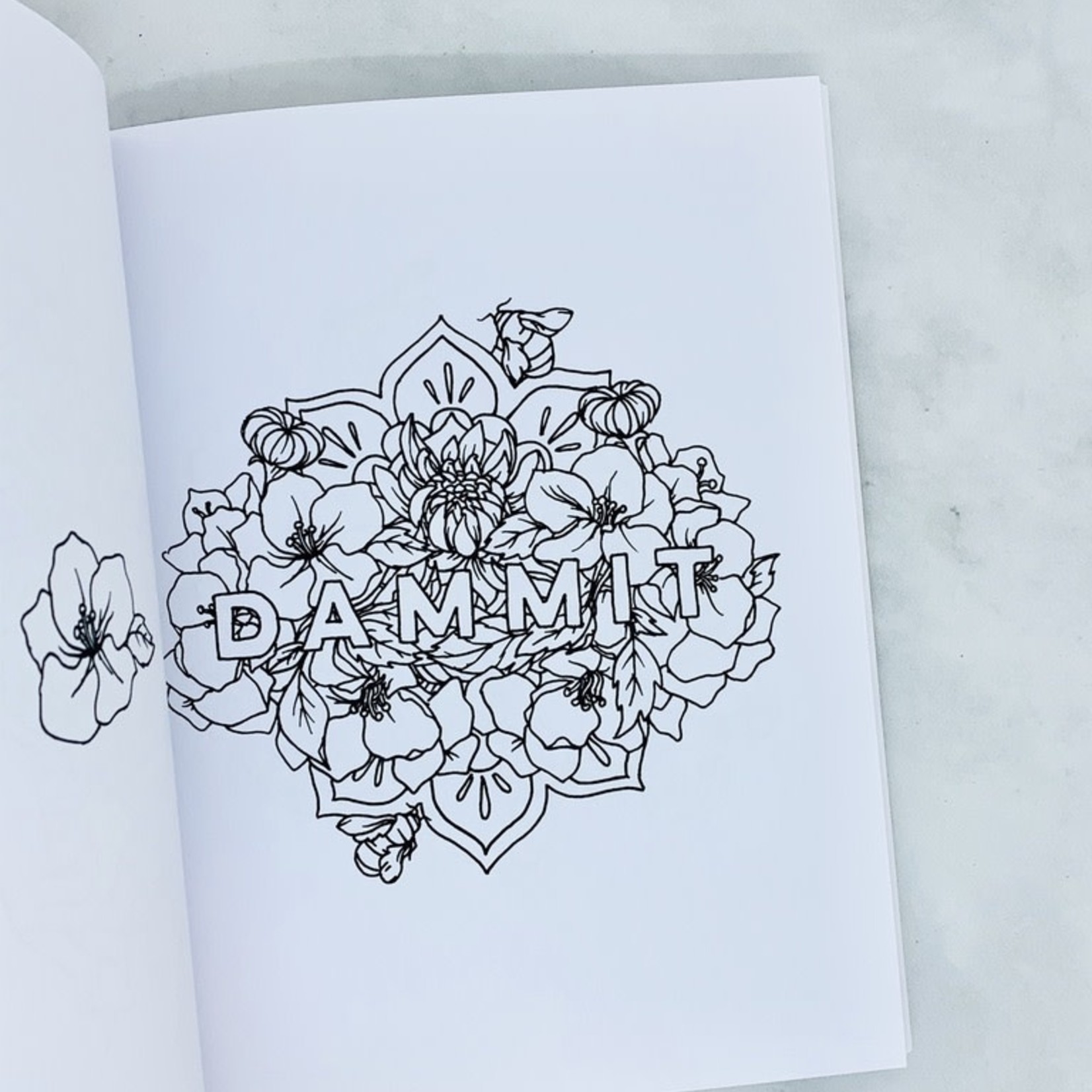 F*ck It, I'm Coloring: A Coloring Book For Adults
