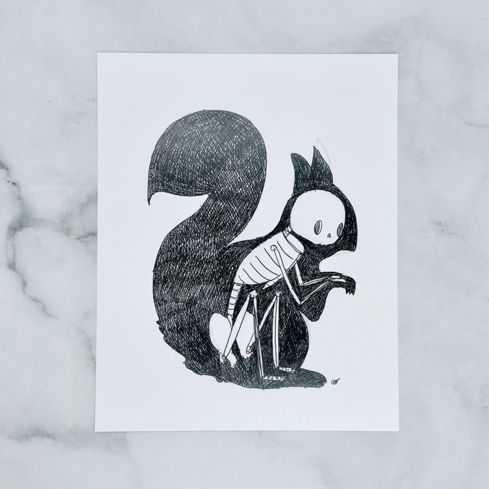 Cat Rocketship Squirrel Animus 8" x 10" Print