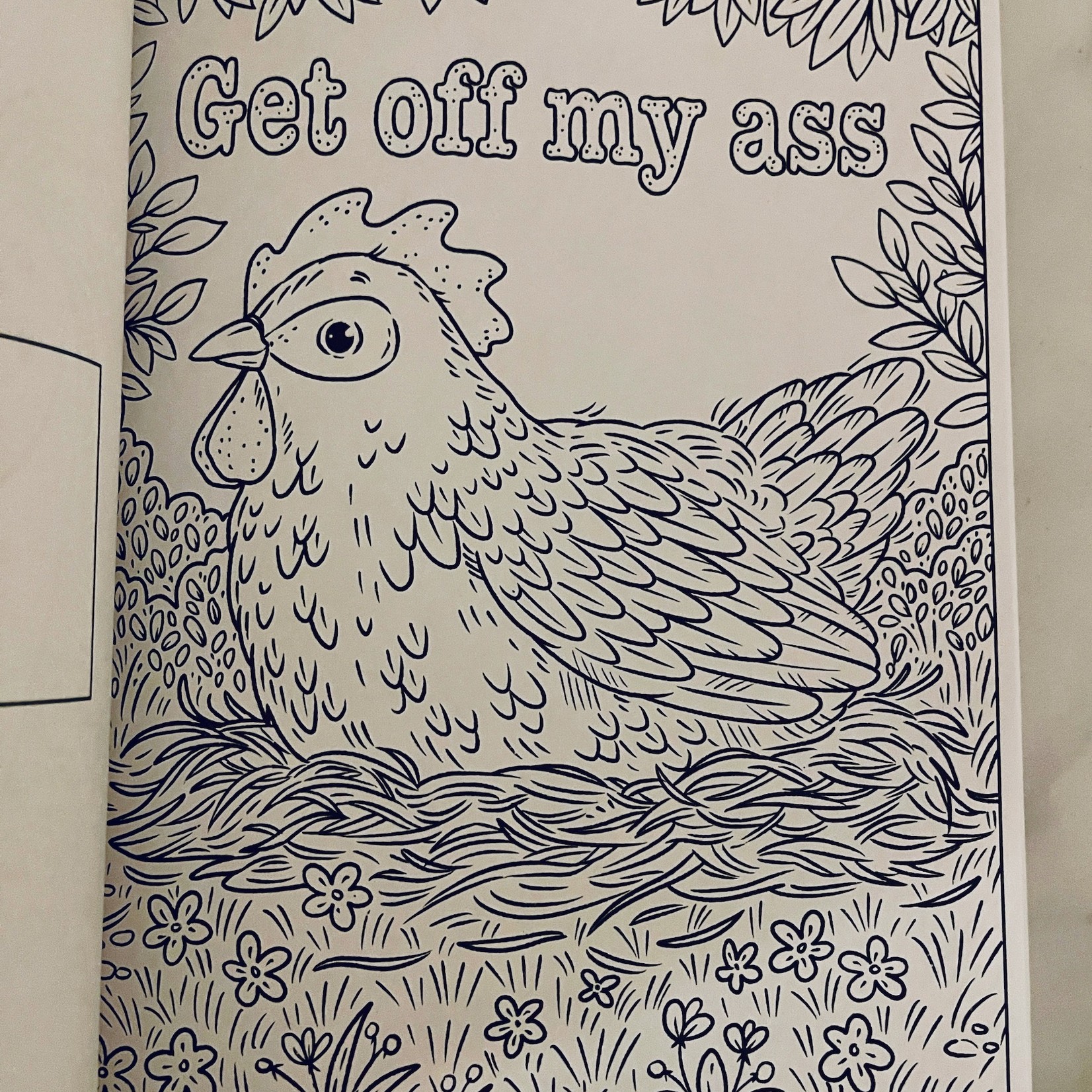 Fuck Off, I'm Adorable Coloring Book