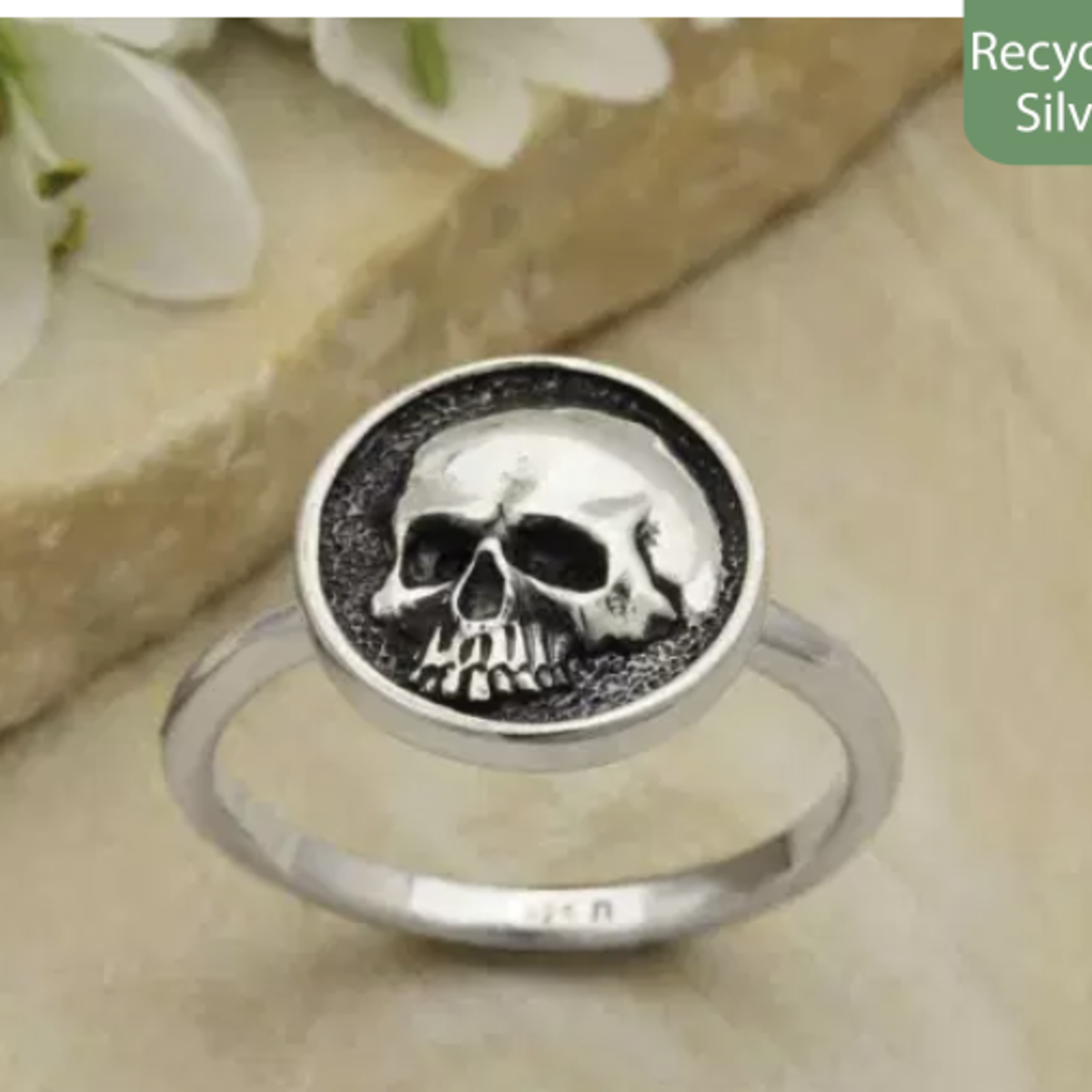 Nina Designs Silver Shadowbox Skull Ring