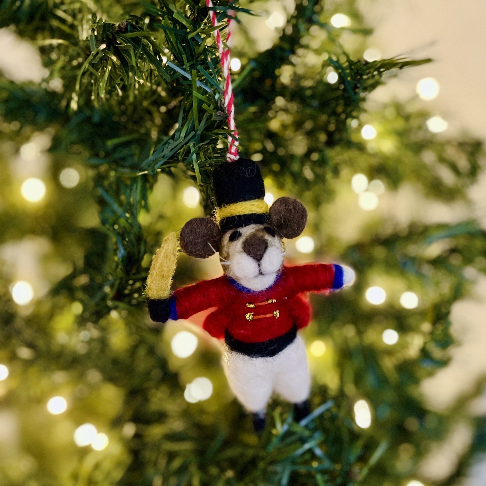 Accent Decor Sir Squeakers Ornament
