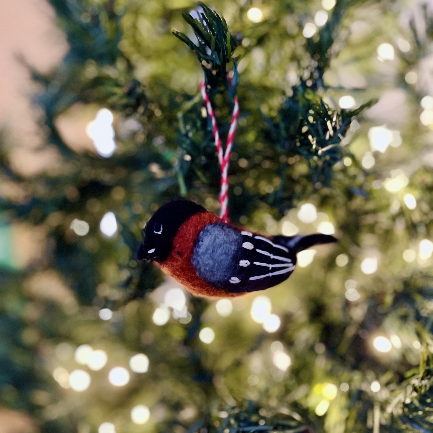 Accent Decor Cheery Chirp Wool Bird Ornament