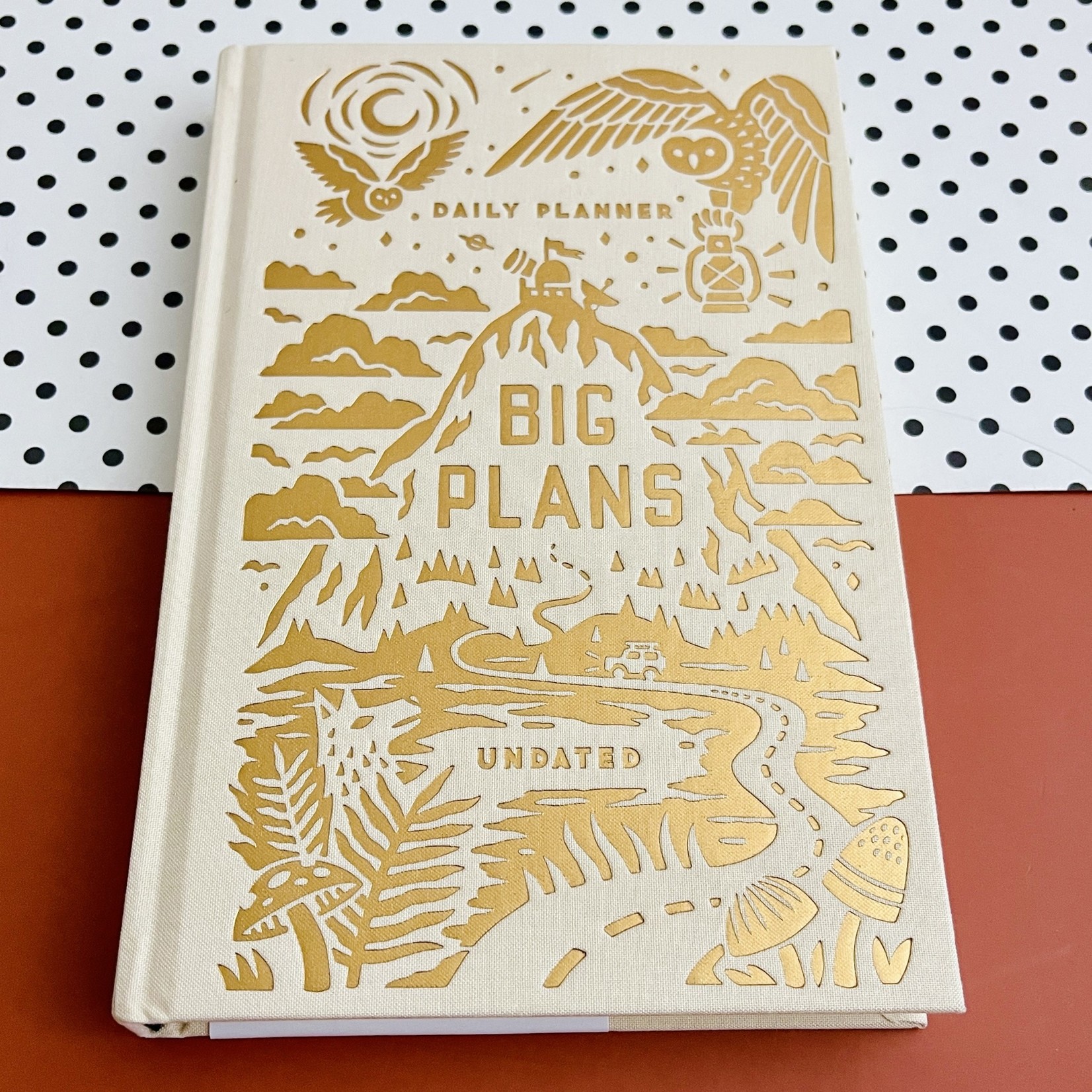Big Plans Undated Standard Planner