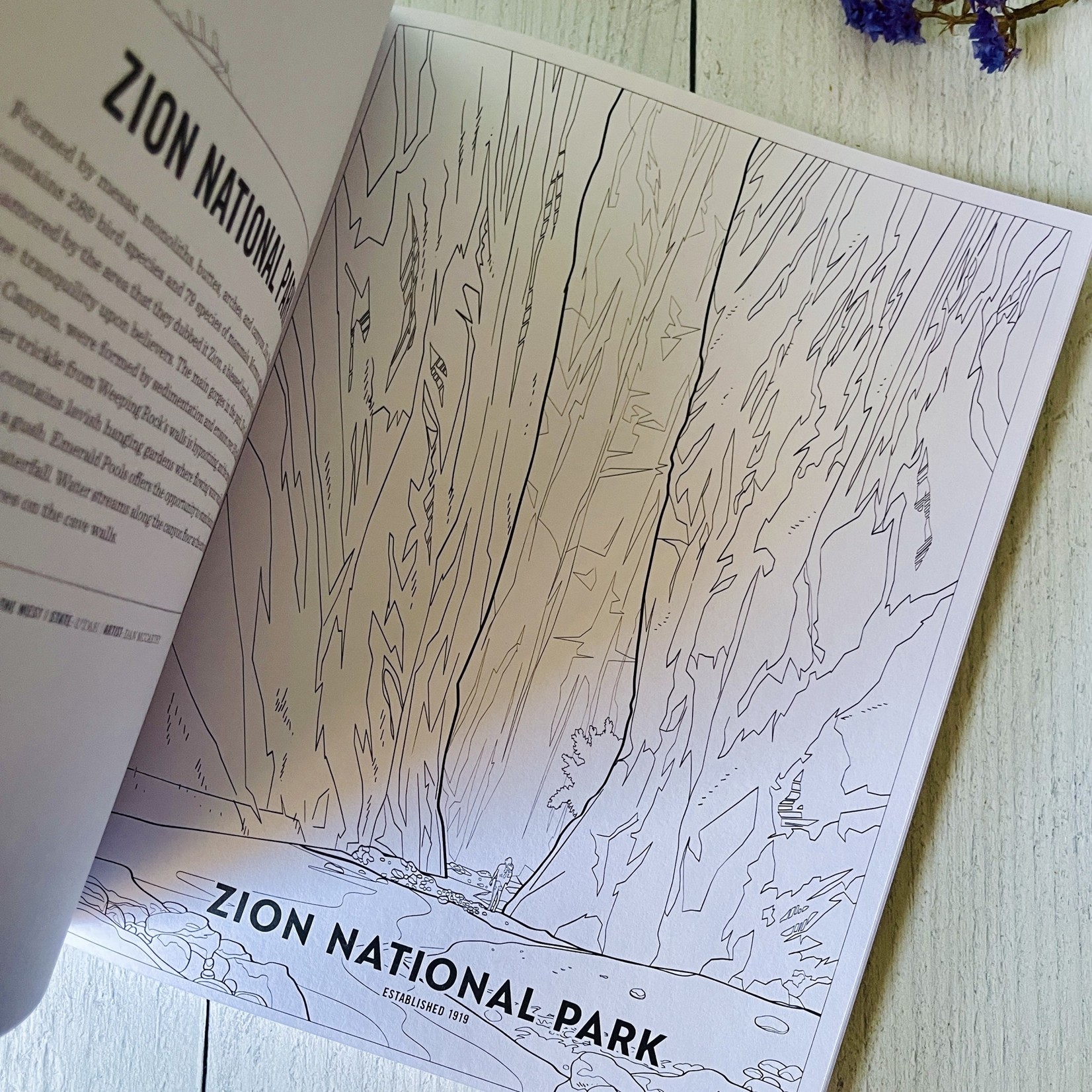 Art of National Parks Coloring Book