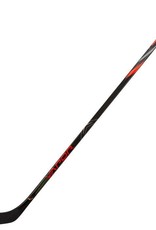 Bauer Hockey S19 VAPOR 2X TEAM GRIP STICK