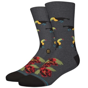 Stance Chaussettes Too Can - Gris