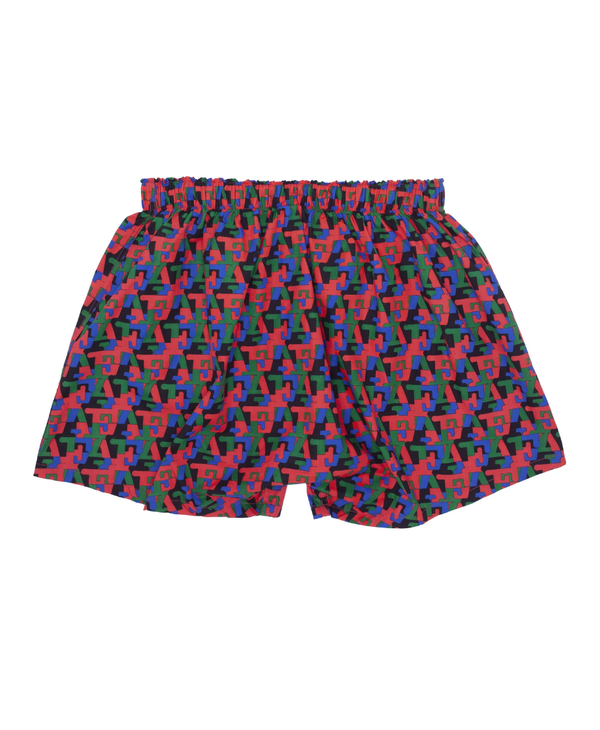 Two Pack Boxers Wanto Dill/Monogram Art