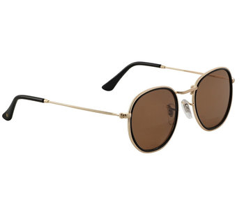 Hudson Polarized Sunglasses - Black/Brown