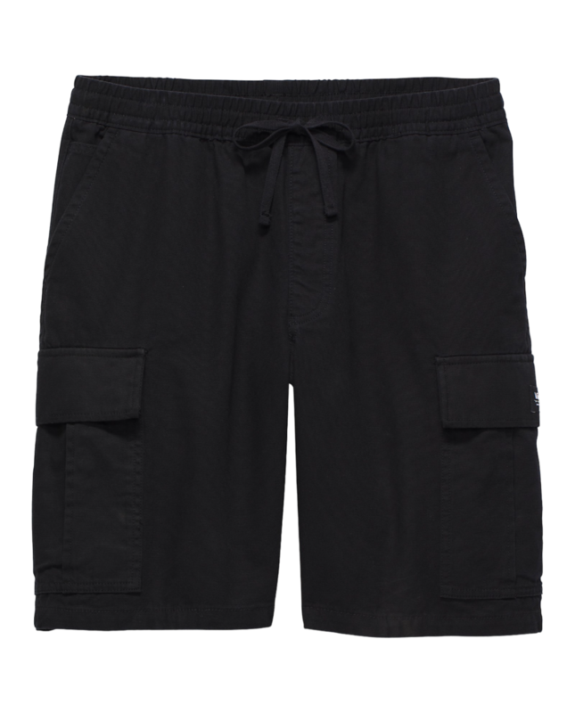 Vans Range Cargo Loose 22'' Shorts - Black