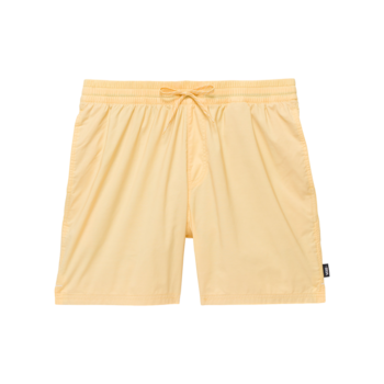 Vans Primary Solid Elastic 19'' Boardshorts - Yarrow