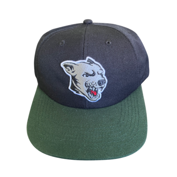 Shake Junt Dawg Casquette Snapback - Noir